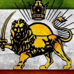ali_shz