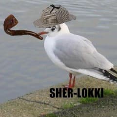 sipodeus