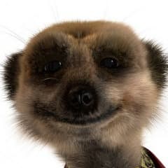 ItzMeerkat_