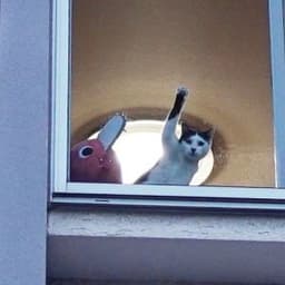 Flock_lol