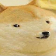RaXoreX