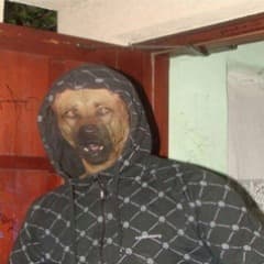 Daniel_North