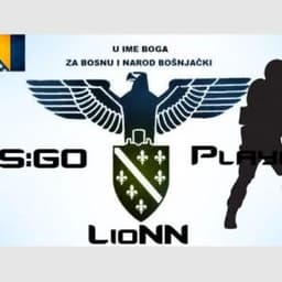 LioNNHS
