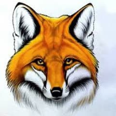 focsn1