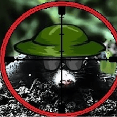 iBtMole