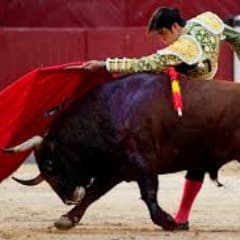 00MaTaDoR00