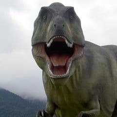 LoNe_rEx