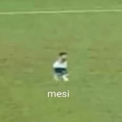 HAmmA19