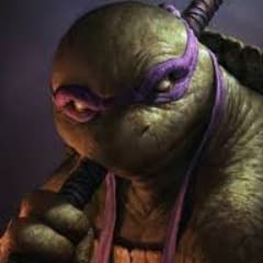 Tortuguinha