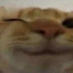 killmepoko