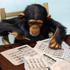 ChimpCS
