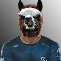 DedaoCoach