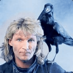 raven0