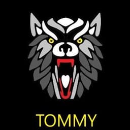 Tommyran
