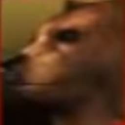 Fettipopopop
