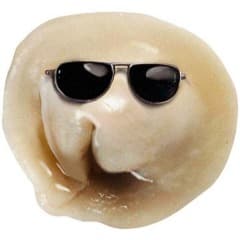 pelmennik