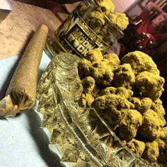 ThaPlug