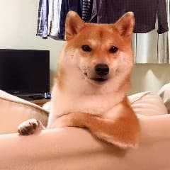 Kubjack