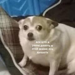 MadMikee_