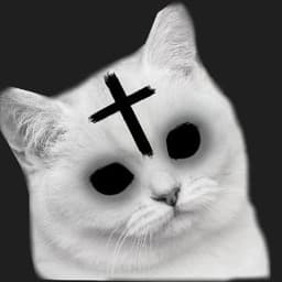 ppmireyqq