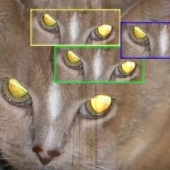 fotochan1