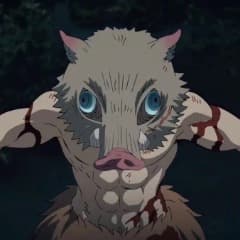 TTpoktolog_0