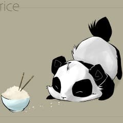 ors_panda