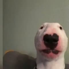 togx