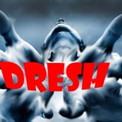 Dreshh