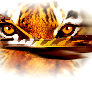 Rafale-