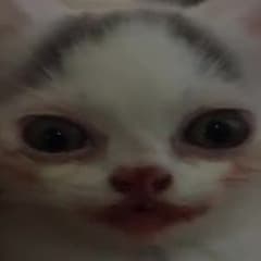 MrPiikay