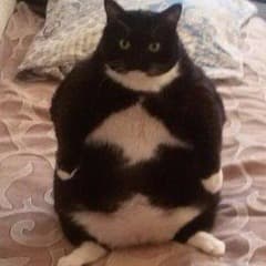 Noxxl
