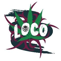 Loocko