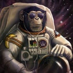 SpacerMonkey