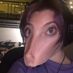 Fiksiruyu