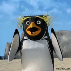 Bnethawk