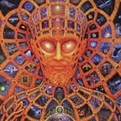 _druid_