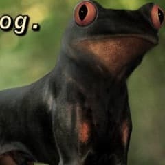 _adroG_