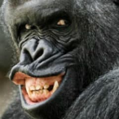 Skip-_-