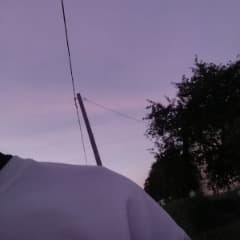 GTPOLOGT