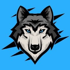 Volchok_ow