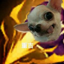 TimXu