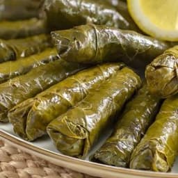 yabra2-