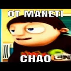 Stekata