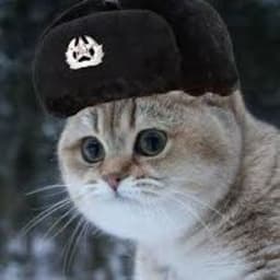 RamenDealer