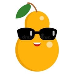 birnefifa01