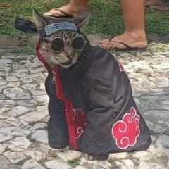 LTVheBAG