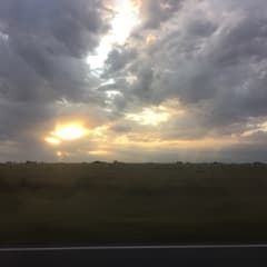 Cyrux_batata