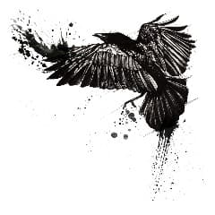 __ZaZu__
