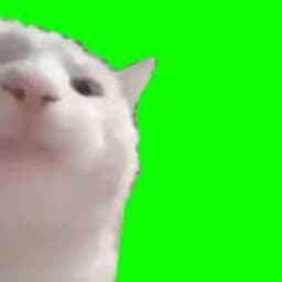 beezetii